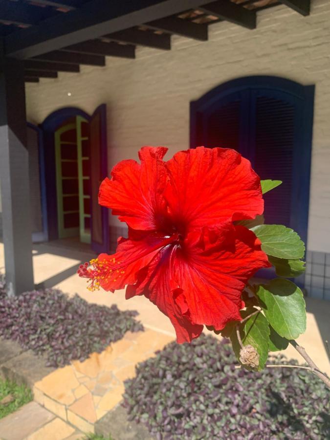 Holiday home _ Vivencie Nossa Energia *